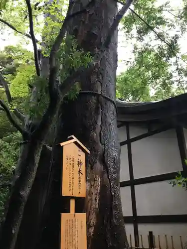 川越氷川神社の自然