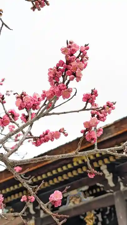 北野天満宮(京都府)