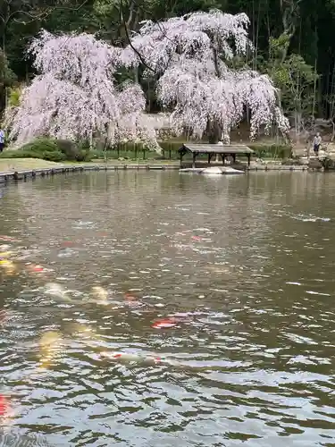 曹源寺(岡山県)