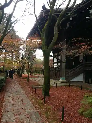 真正極楽寺（真如堂）の景色