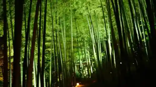 高台寺（高台寿聖禅寺・高臺寺）のその他建物