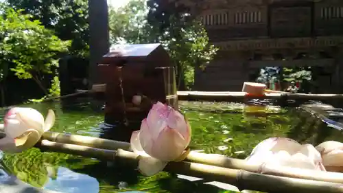 慈恩寺(山形県)