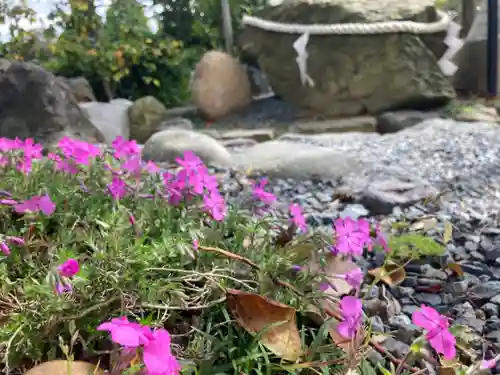 總社 和田八幡宮の自然
