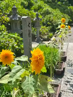 観音寺(京都府)