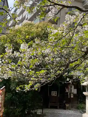 大綱金刀比羅神社(神奈川県)