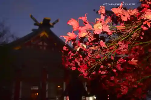 大山阿夫利神社(神奈川県)