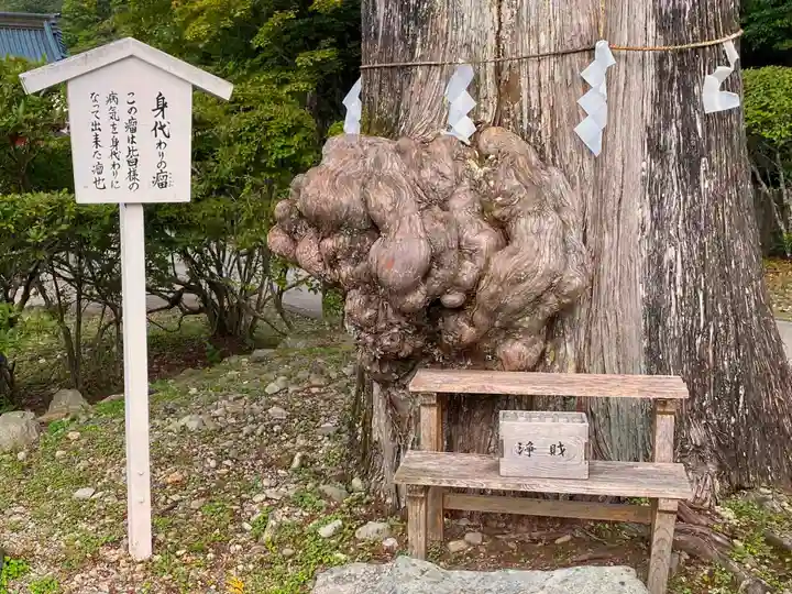 中禅寺(栃木県)