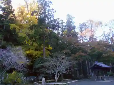 妙本寺のその他建物