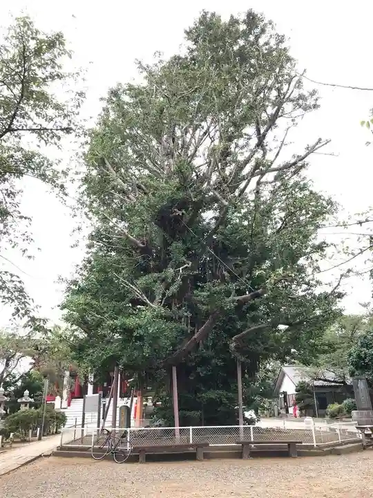 千葉寺のその他建物