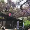 國領神社の本殿・本堂
