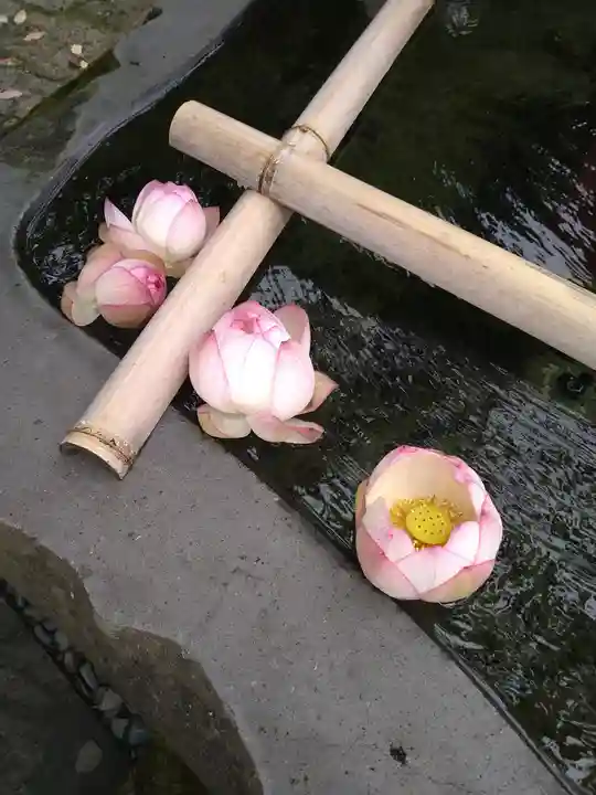 慈恩寺の手水舎