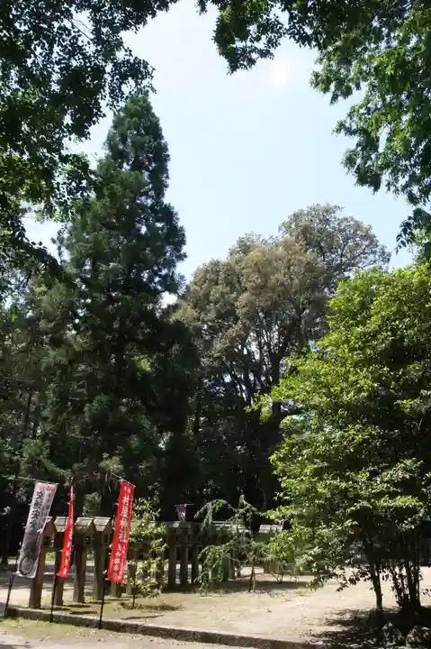 村屋坐弥冨都比売神社(奈良県)