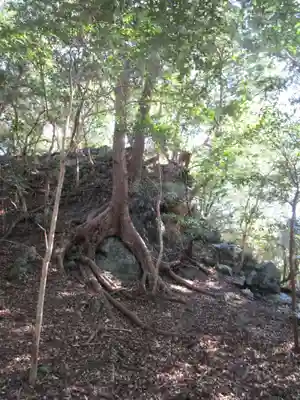 和多都美神社(長崎県)