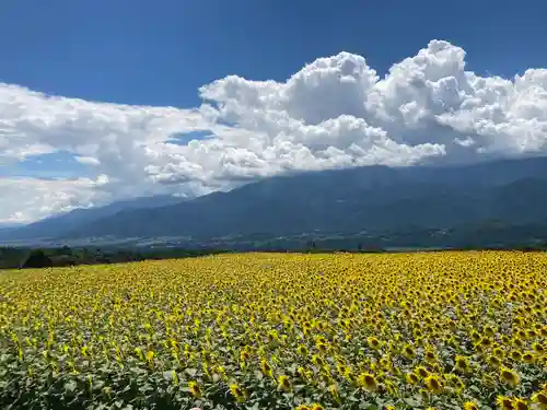 遠照寺の景色