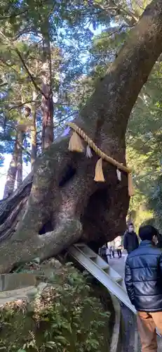 笠森寺のその他建物