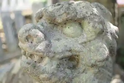 筑波山神社の狛犬