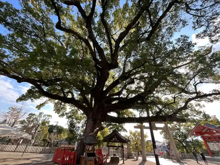 百舌鳥八幡宮(大阪府)
