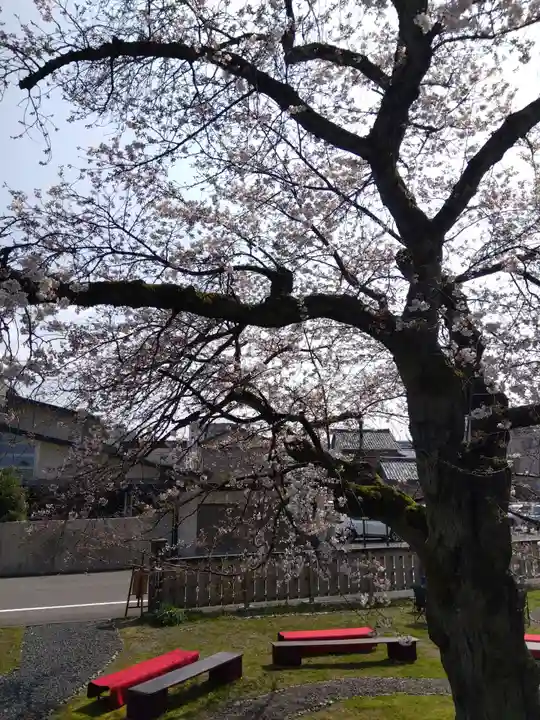 妙経寺(福井県)