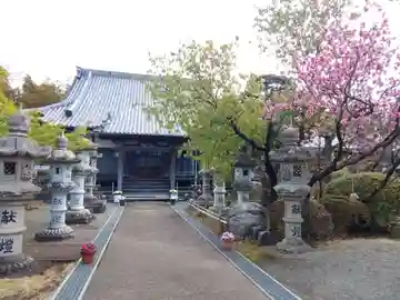 蓮華寺(静岡県)