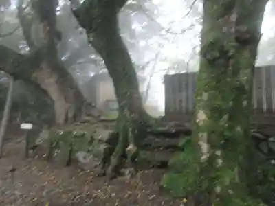 最御崎寺(高知県)