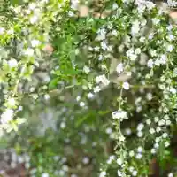 伊勢の国 四天王寺(三重県)