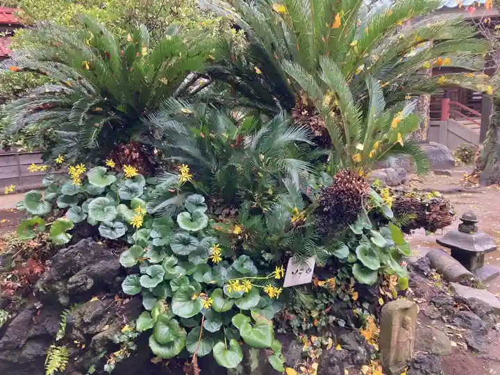 徳満寺(茨城県)