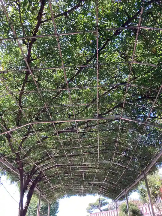 足利織姫神社(栃木県)