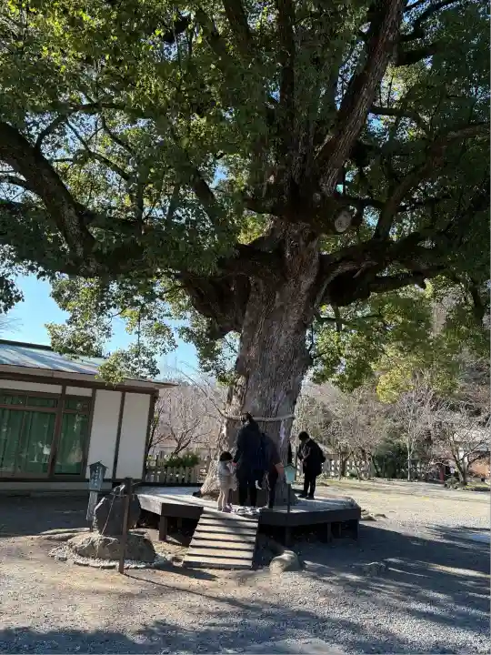 平野神社(京都府)