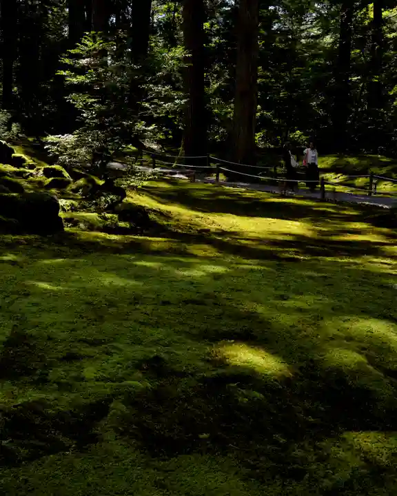 平泉寺白山神社(福井県)
