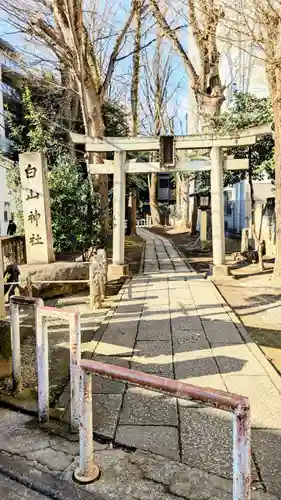 荻窪白山神社の鳥居