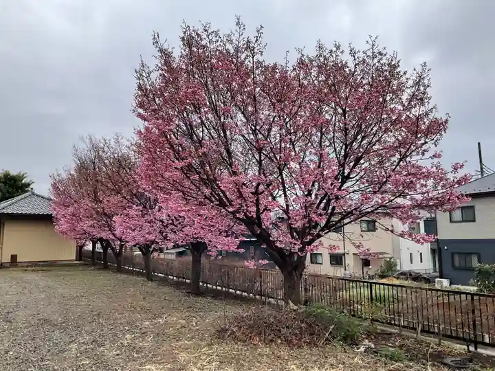 圓徳寺(埼玉県)