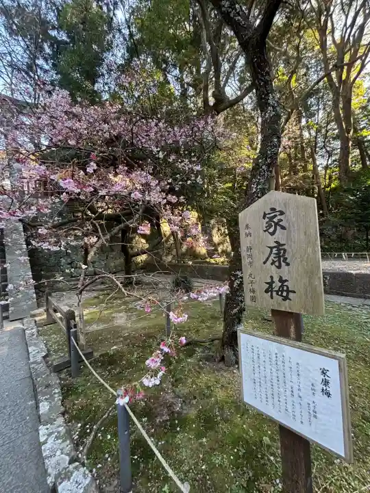 久能山東照宮の{uncategorized: "未分類", other: "その他", undefined: "問題あり", building: "その他建物", grave: "お墓", sacred_gate: "鳥居", guardian: "狛犬", statue: "像", buddha: "仏像", history: "歴史", nature: "自然", garden: "庭園", animal: "動物", pagoda: "塔", temizu: "手水舎", mountain_gate: "山門・神門", sanctuary: "本殿・本堂", subordinate: "末社・摂社", art: "芸術", scenery: "景色", jizo: "地蔵", ema: "絵馬", goshuin: "御朱印", omikuji: "おみくじ", items: "授与品その他", amulet: "お守り", goshuincho: "御朱印帳", eats: "食事", festival: "お祭り", votive_dance: "神楽", shichigosan: "七五三参", wedding: "結婚式", experience: "体験その他", initially: "初詣", around: "周辺", anti_infection: "感染症対策"}