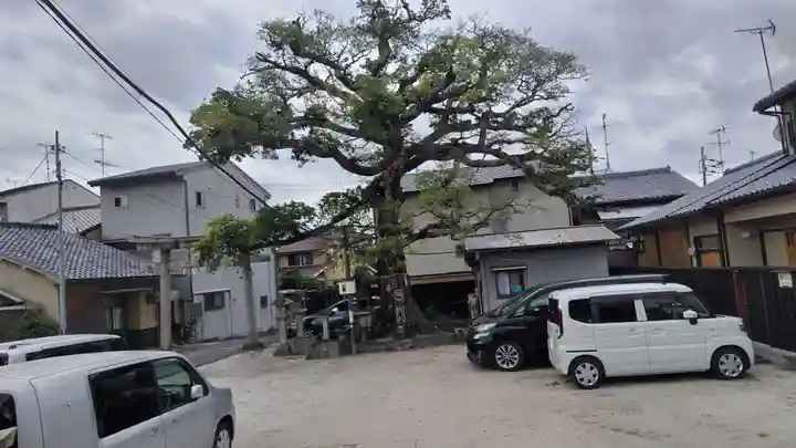 櫟谷七野神社(京都府)