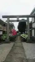 日吉八王子神社の鳥居