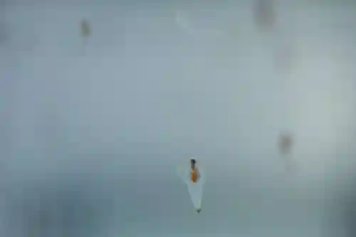 宝光寺(北海道)