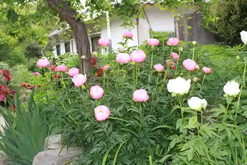 石光寺(奈良県)