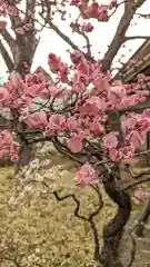 実相寺(東京都)