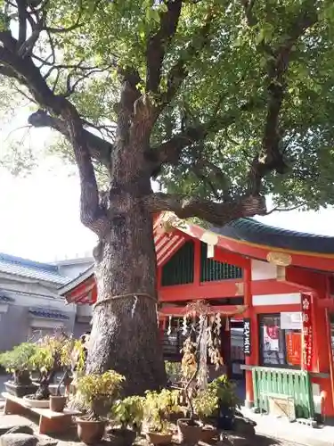 足の神様 服部天神宮(大阪府)