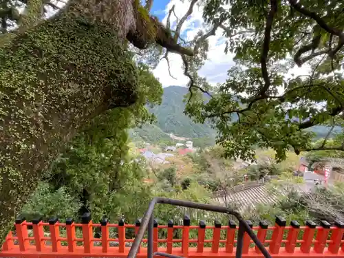 熊野那智大社の景色