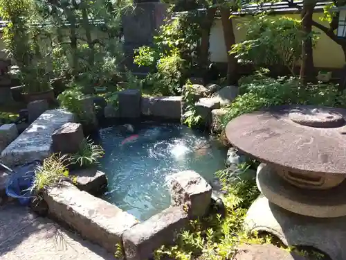 妙高院(神奈川県)