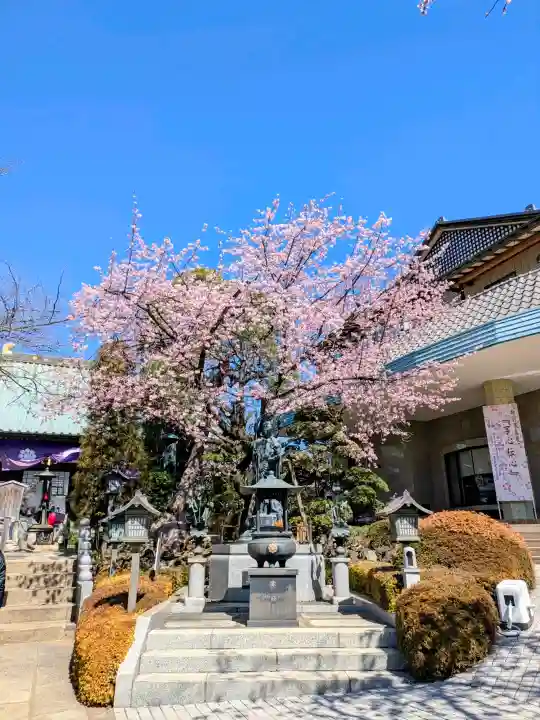 密藏院の{uncategorized: "未分類", other: "その他", undefined: "問題あり", building: "その他建物", grave: "お墓", sacred_gate: "鳥居", guardian: "狛犬", statue: "像", buddha: "仏像", history: "歴史", nature: "自然", garden: "庭園", animal: "動物", pagoda: "塔", temizu: "手水舎", mountain_gate: "山門・神門", sanctuary: "本殿・本堂", subordinate: "末社・摂社", art: "芸術", scenery: "景色", jizo: "地蔵", ema: "絵馬", goshuin: "御朱印", omikuji: "おみくじ", items: "授与品その他", amulet: "お守り", goshuincho: "御朱印帳", eats: "食事", festival: "お祭り", votive_dance: "神楽", shichigosan: "七五三参", wedding: "結婚式", experience: "体験その他", initially: "初詣", around: "周辺", anti_infection: "感染症対策"}