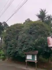 高田天満宮の自然