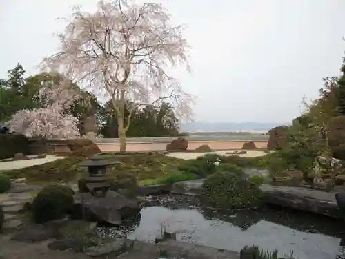 正法寺の庭園