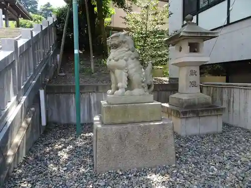 白金氷川神社の狛犬