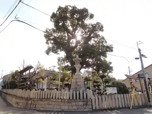 伯太神社の自然