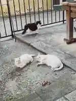 南品川諏訪神社(東京都)