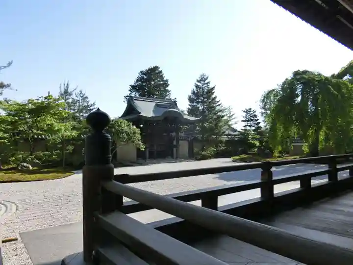 高台寺(高台寿聖禅寺・高臺寺)の庭園