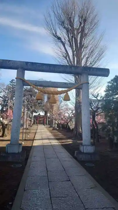本宿天神社(埼玉県)
