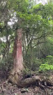 穴門山神社(岡山県)