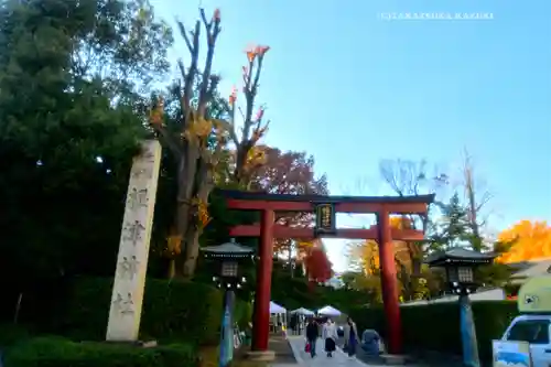 根津神社(東京都)
